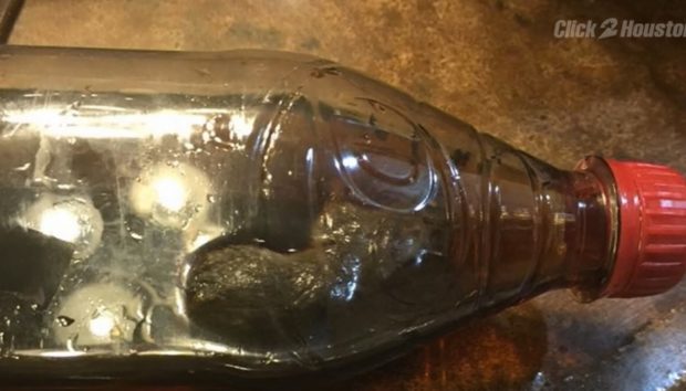 Семья из США нашла крысу в бутылке газировки, из которой пил 3-летний мальчик