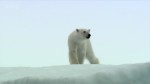 Операция "Айсберг" (2 серии из 2) / Operation Iceberg (2012) HDTVRip (720p)