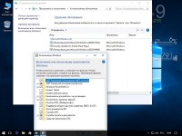 Windows 10 Pro 14393.577 x86/x64 Lite v.22 by naifle (RUS/2016)