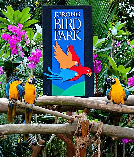 Всемирное природное наследие. Парк птиц / World Natural Heritage: Bird Park (2011) 3D (HSBS) / HDTV (1080i)