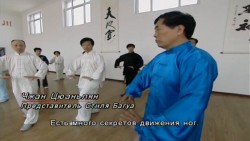    (15 ) / Chinese martial arts (2012) WEBRip (720p)