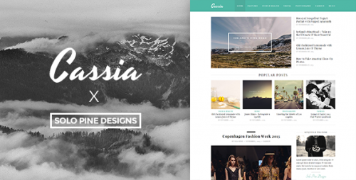 Nulled Cassia v1.1 - A Responsive WordPress Blog Theme  