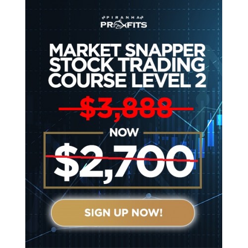 Piranha profits   Stock Trading Course