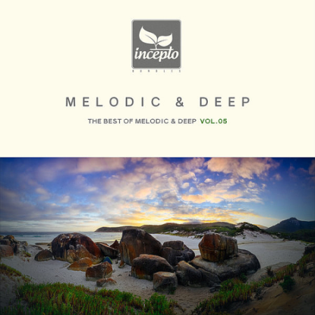 VA - Melodic and Deep Vol.05 (2019)
