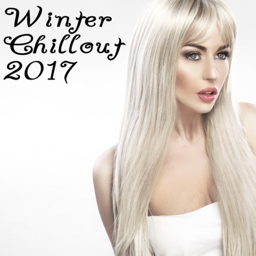 VA - Winter Chillout 2017 (2016)