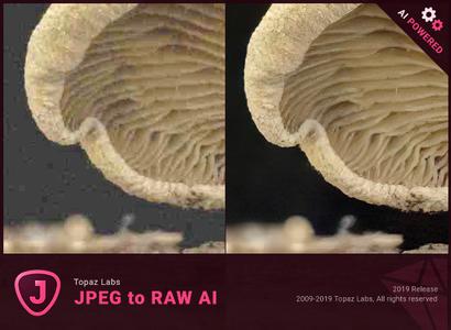 Topaz JPEG to RAW AI 2.2.0 x64 RePacK + Portable