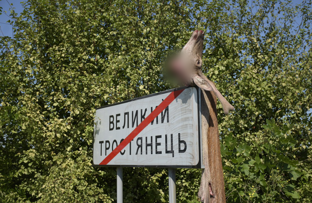 Вісті з Полтави - Браконьєрам, які вколотили оленя і вивісили шкуру на дорожній знак біля Великого Тростянця, загрожує 80 тис грн штрафу