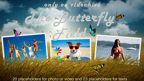 Photo Slideshow - Butterfly Field - Project for After Effects (Videohive)
