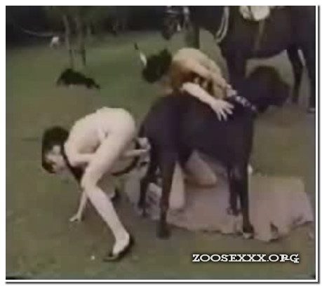 034 - C700 - Teen Girl's Dog and Horse Fuck Fest
