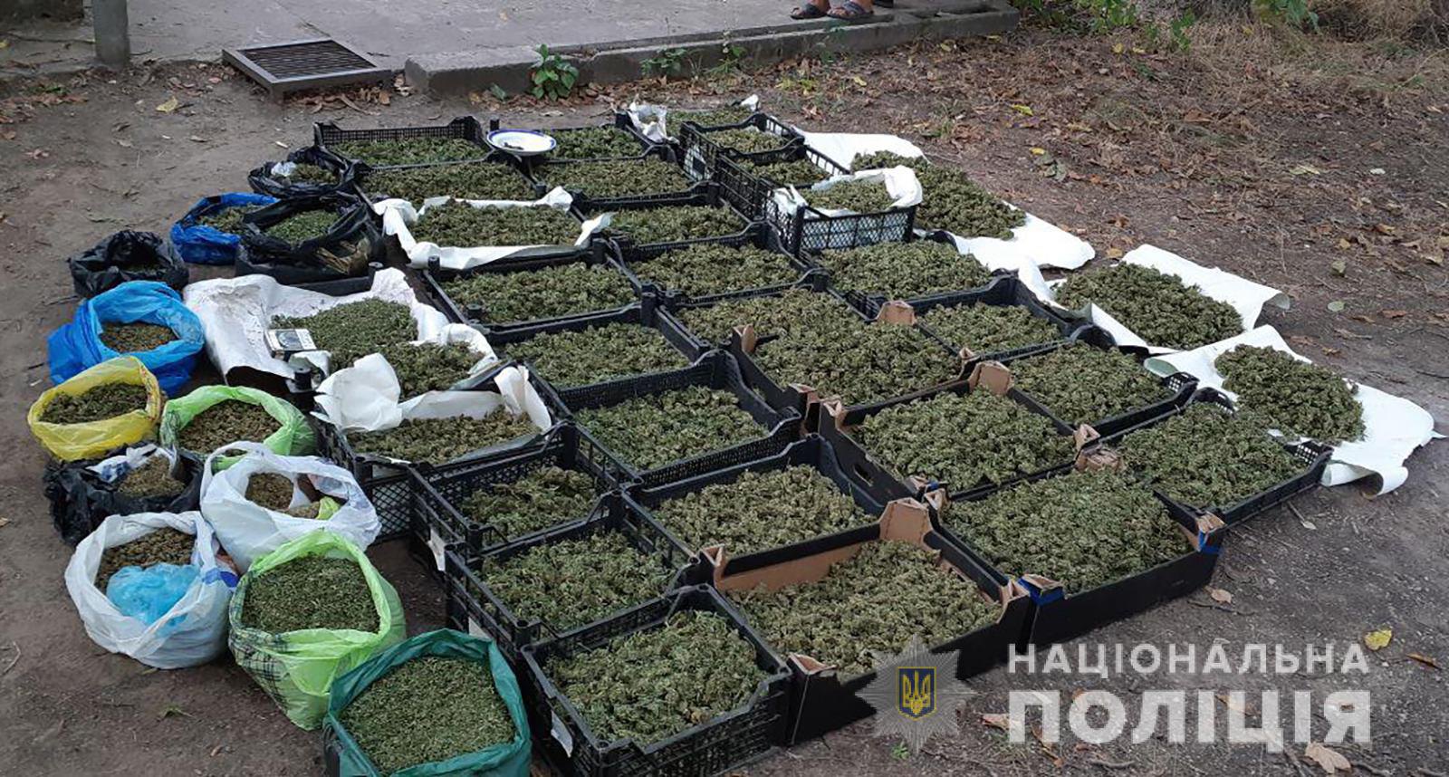 В Запорожской области изъяли партию марихуаны на сумму более 20 млн гривен