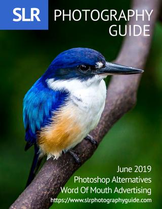 SLR Photography Guide   July 2019