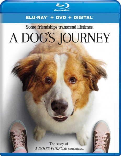 A Dog's Journey (2019) AC3 5 1 ITA ENG 1080p H265 sub-MIRCrew