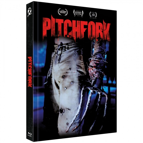 Pitchfork 2016 1080p BluRay x264 DTS-FGT