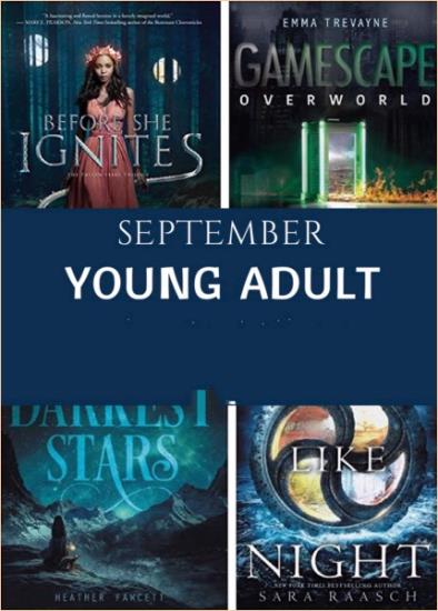 Young Adult. 78 книг