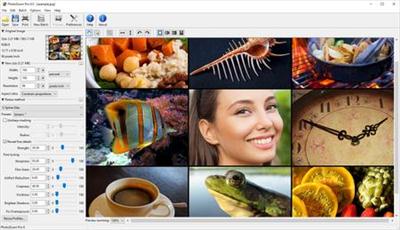 Benvista PhotoZoom Pro 8.0.4 Multilingual + Portable
