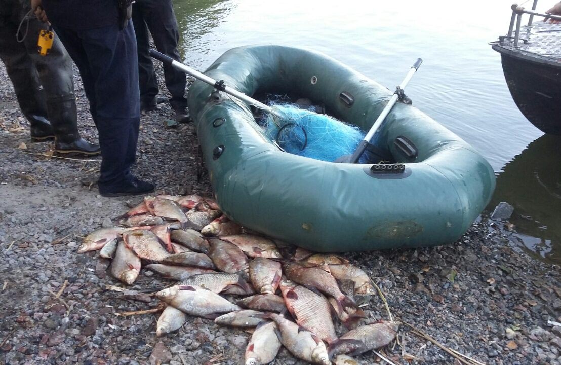 Вісті з Полтави - Протягом серпня Полтавський рибоохоронний патруль викрив 339 правопорушень та вилучив понад 5 тис. кг риби