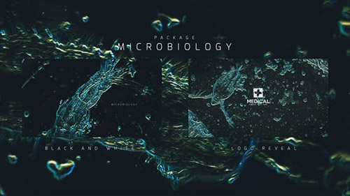 Microbiology Package - Project for After Effects (Videohive)