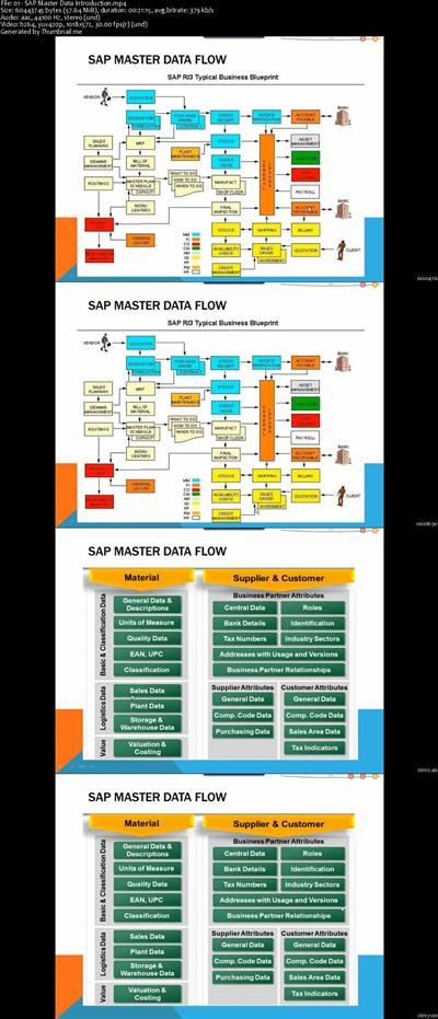 SAP Series The Definitive Guide to SAP Master Data