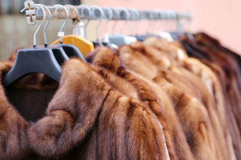 В Калифорнии подписали законопроект о запрете реализации и производства одежды из меха