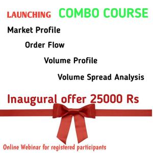 Financially Independent Group - Combo  Course