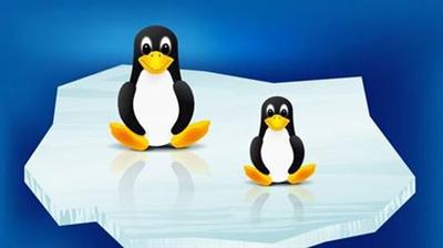 UNIX and Linux Operating System   Beginner & Advanced