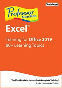 Individual Software Professor Teaches Excel 2019 v1.0