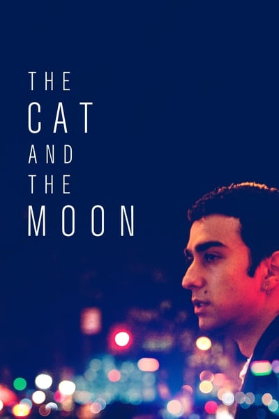 The Cat And The Moon 2019 HDRip XviD AC3-EVO