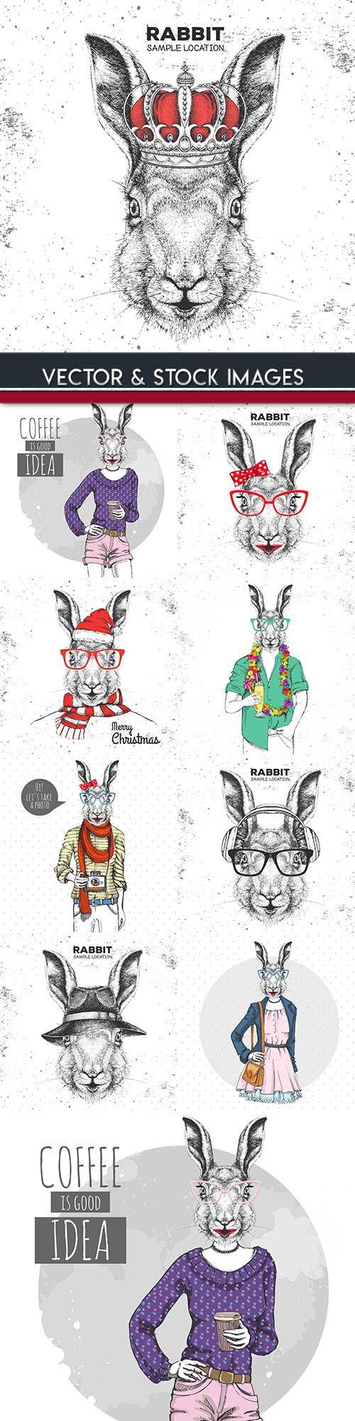Rabbit in clothes and accessories painted illustrations