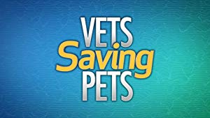 Vets Saving Pets S02E04 WEB x264-LiGATE