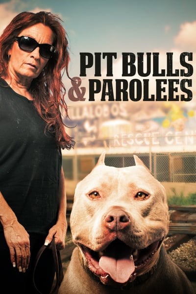 Pit Bulls and Parolees S14E05 Treasure Not Trash WEB x264-CAFFEiNE