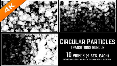 Videohive - Circular Particles Transitions Bundle - 4K - 23659713