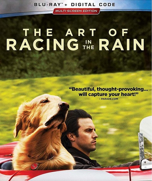 Невероятный мир глазами Энцо / The Art of Racing in the Rain (2019)