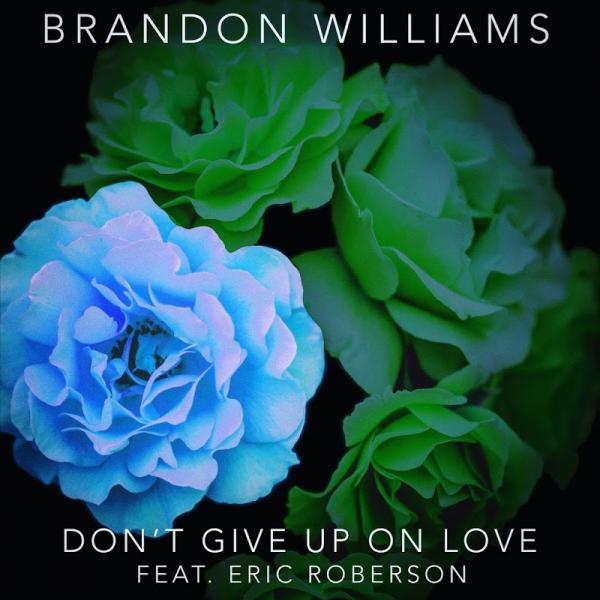 Brandon Williams Dont Give Up On Love SINGLE 2019