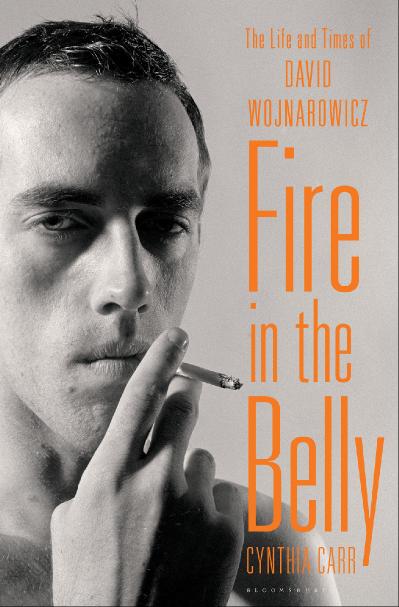 Fire in the Belly The Life and Times of David Wojnarowicz