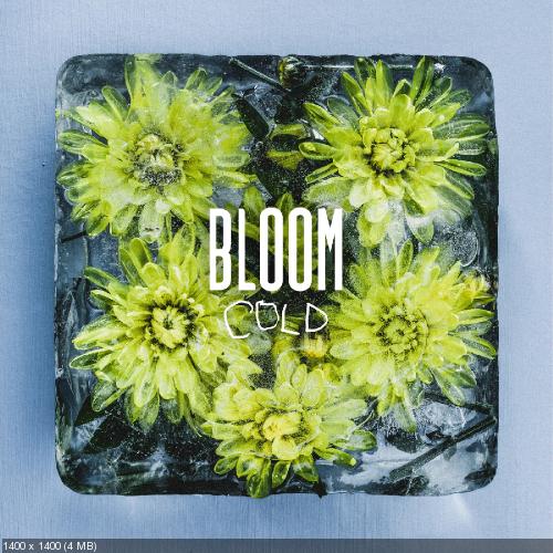 Bloom - Cold [Single] (2019)
